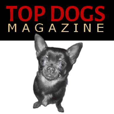 top dogs magazine